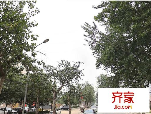 楊何新區(qū)