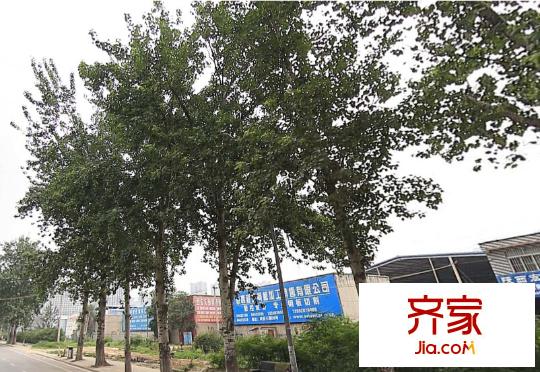 楊何新區(qū)外景圖西安  