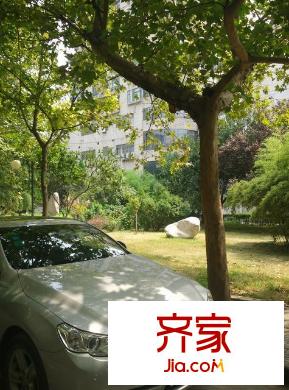 陜西廣播電視大學家屬院外景圖 