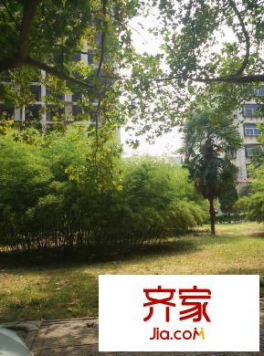 陜西廣播電視大學家屬院外景圖 