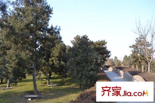 新界（長(zhǎng)安）配套圖周邊永陽公園