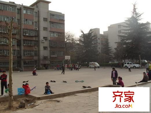綠化處家屬院外景圖 