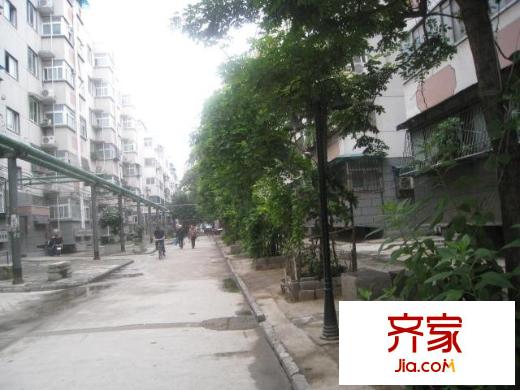 綠化處家屬院外景圖 