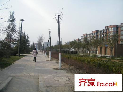 國(guó)潤(rùn)城周邊綠化