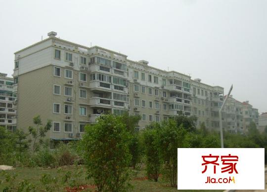 芙蓉苑小區(qū)外景圖 