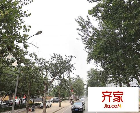 楊何新區(qū)外景圖西安  