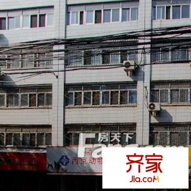 東縣門中行家屬院外景圖 
