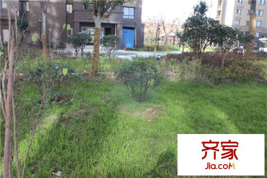 羅馬西西里小區(qū)園林景觀（2015-12-07）