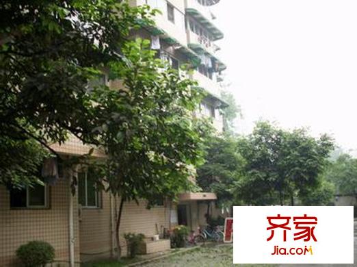 芙蓉苑小區(qū)外景圖 