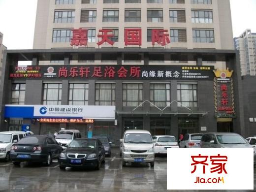 嘉天國際