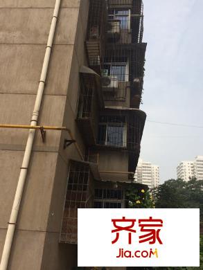 省建八公司家屬院外景圖 