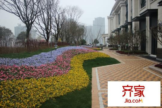 招商依云曲江實(shí)景園林體驗(yàn)區(qū)（2015.3.27）