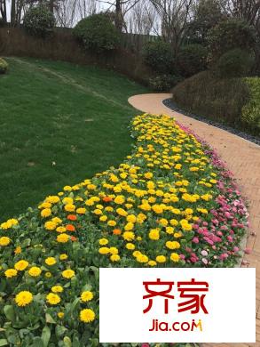 招商依云曲江實景園林體驗區(qū)（2015.3.27）