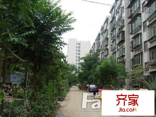 國稅局家屬院外景圖 