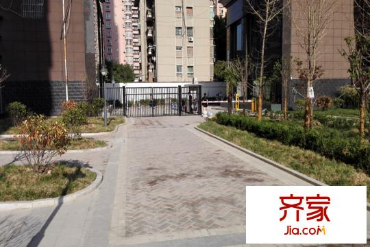大興新悅城小區(qū)綠化（2015.8.4）