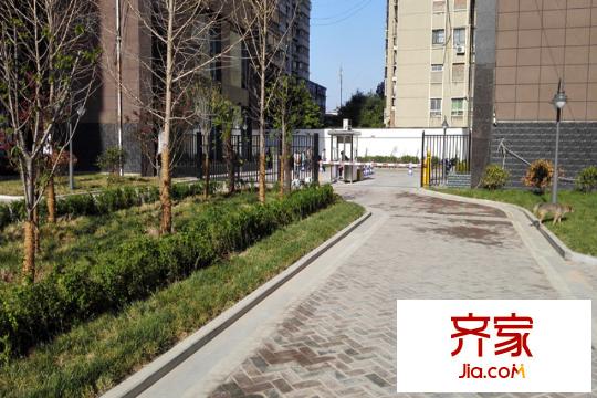大興新悅城小區(qū)綠化（2015.8.4）