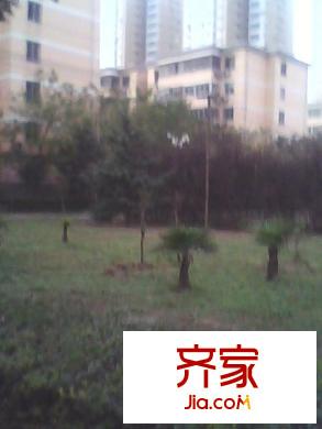 灞橋園丁花苑外景圖園丁小區(qū) 