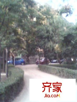 灞橋園丁花苑外景圖園丁小區(qū) 