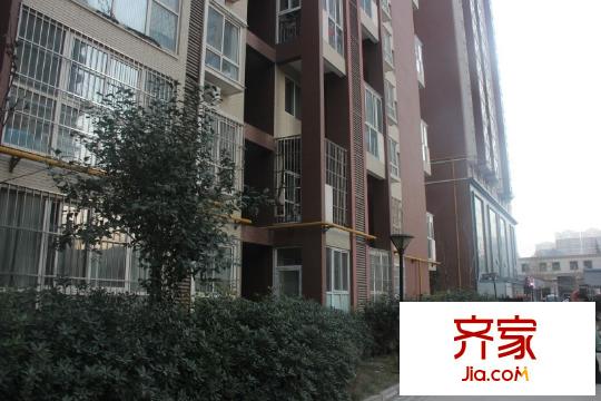 左岸春天