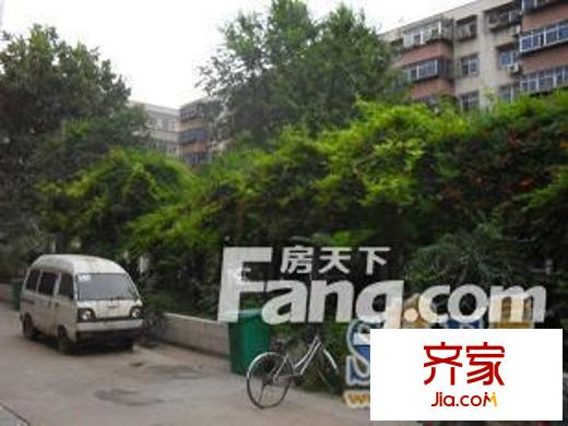 國稅局家屬院外景圖 