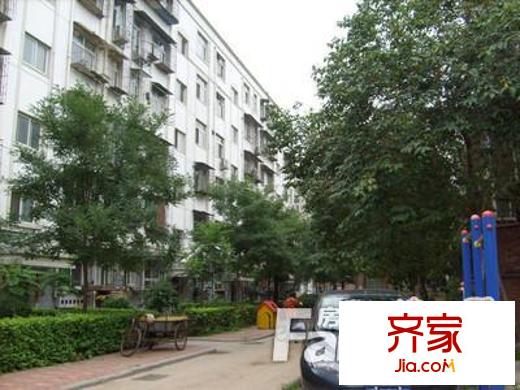 國稅局家屬院外景圖 