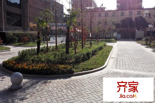 大興新悅城小區(qū)綠化（2015.8.4）