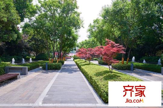 萬科城燕園園林照片（2015.8.3）