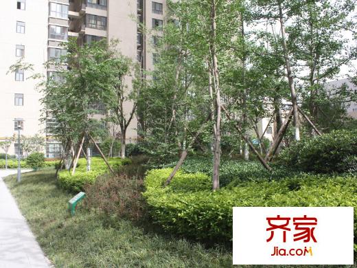 華豪麗晶實(shí)景圖小區(qū)綠化（2014.5.5）