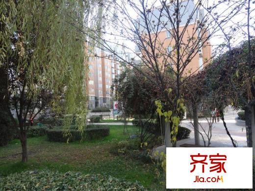 金橋四季花園