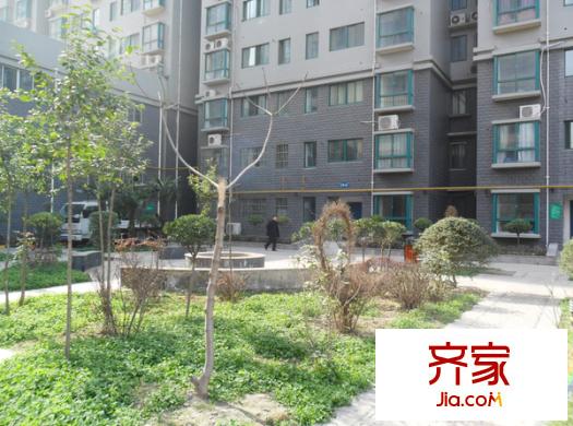 金葉長樂居外景圖 