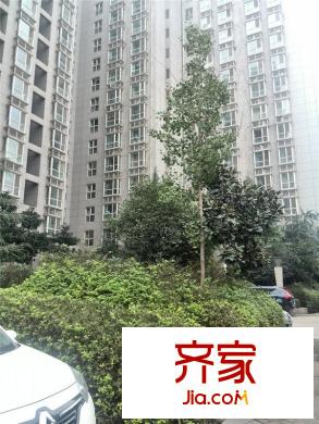 尚品格藍