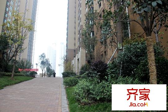 海倫國際二期已入住02（2015-11-20）