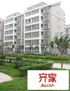 石榴花城