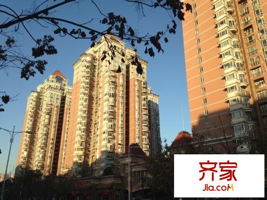 楓葉新都市