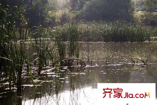 天朗早安【融公館】周邊配套-公園水景
