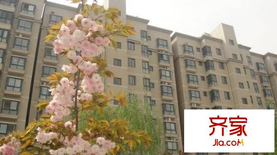 智慧城外景圖 