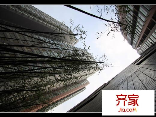 高新逸品