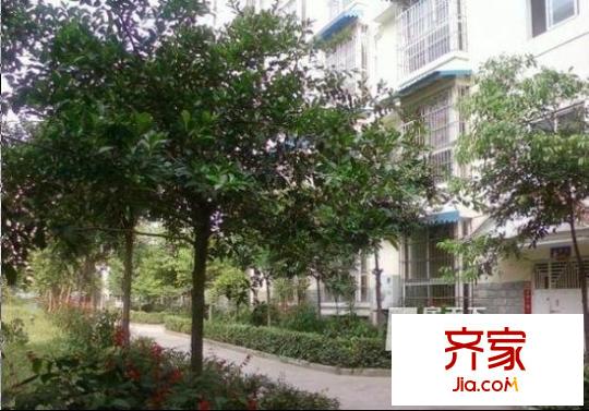 福澤小區(qū)外景圖  