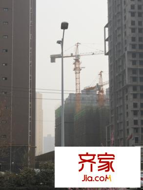 錦城四季