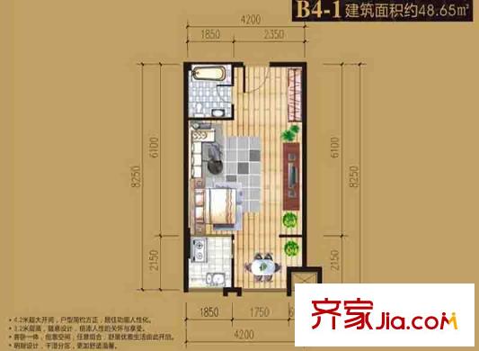 朱雀七星國(guó)際公寓戶型圖B4-1#一室一廳一廚一衛(wèi)48.65平米 1室1廳1衛(wèi)1廚