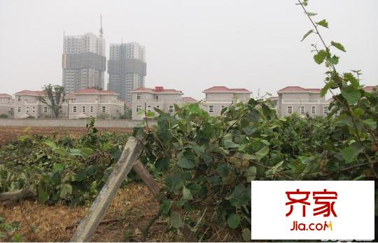 錦華園實(shí)景圖施工進(jìn)度遠(yuǎn)景(2010.7)