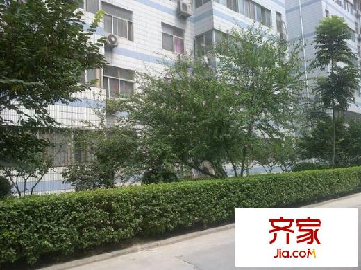 紡織城國稅局家屬院外景圖 