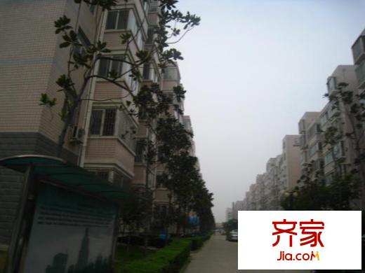 紡織城國稅局家屬院外景圖 