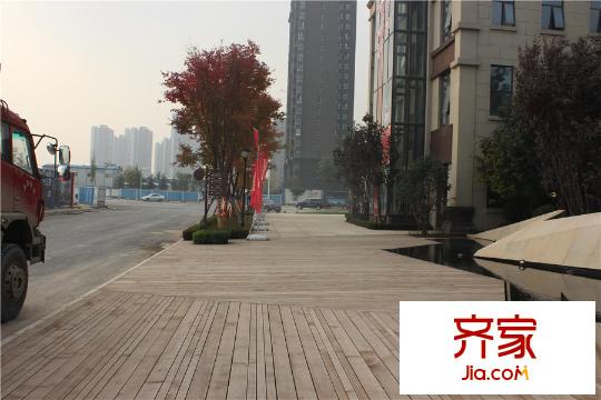 龍湖花千樹