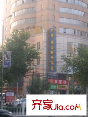 太和公園人家配套圖周邊野馬培訓(xùn)學(xué)校