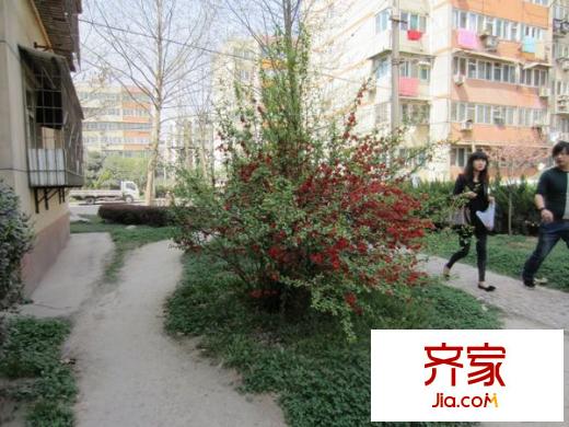四棉社區(qū)外景圖四棉家屬院