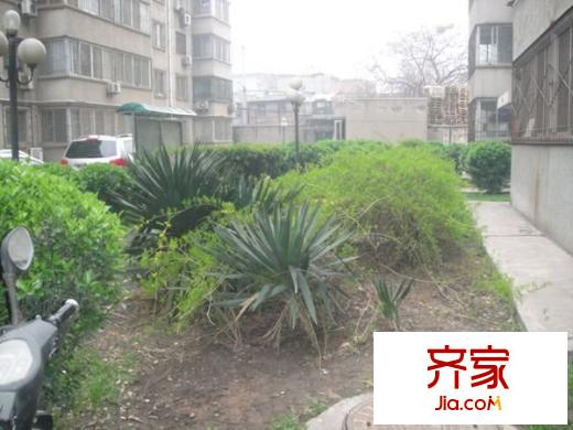 金牛小區(qū)外景圖 