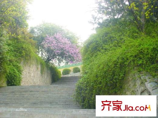 太和公園人家配套圖周邊公園