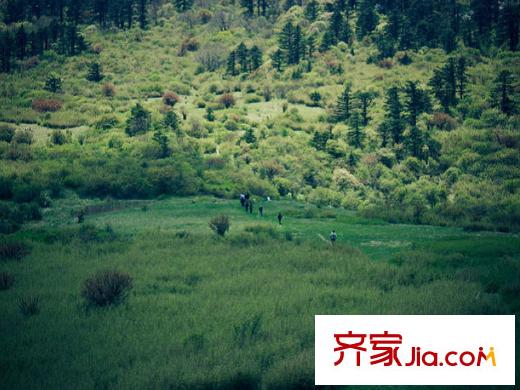 云中漫步周邊祥峪森林公園