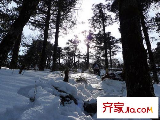 云中漫步周邊祥峪森林公園